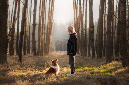 Photo for Young blonde girl standing with her small fluffy dog in sunny forest, bright sunlight on the background. Beautiful Sheltie keeps eye contact with his female owner. Horizontal picture, copy space. - Royalty Free Image