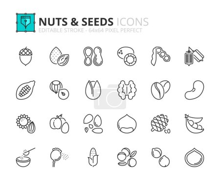 Ilustración de Line icons about nuts and seeds. Contains such icons as almond, cacao, chestnut, chickpeas, chia and beans. Editable stroke Vector 64x64 pixel perfect - Imagen libre de derechos