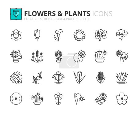 Téléchargez les illustrations : Ligne icônes sur les fleurs et les plantes. Contient des icônes telles que rose, marguerite, tulipe, jonquille, sakura et cactus. Course modifiable vecteur 64x64 pixel parfait - en licence libre de droit