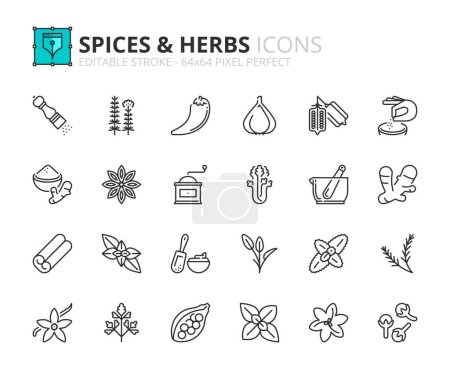 Illustration for Line icons  about spices and herbs. Contains such icons as turmeric, celery, rosemary, saffron and pepper. Editable stroke Vector 64x64 pixel perfect - Royalty Free Image
