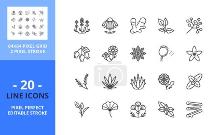 Liniensymbole über Infusionen und Tisanes. Enthält Ikonen wie Echinacea, Lavendel, Ingwer, Kamille und Löwenzahn. Essbarer Schlaganfall. Vektor - 64 Pixel perfektes Raster