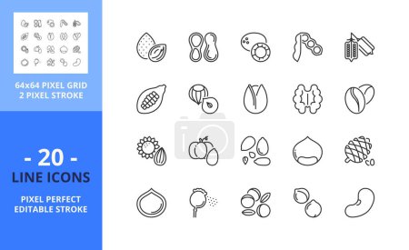 Téléchargez les illustrations : Ligne icônes sur les noix et les graines. Contient des icônes telles que l'amande, le cacao, la châtaigne, les pois chiches, la chia et les haricots. Course modifiable. Vecteur - grille parfaite de 64 pixels - en licence libre de droit