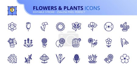 Illustration for Line icons about flowers and plants. Contains such icons as rose, daisy, tulip, daffodil, sakura and cactus. Editable stroke Vector 256x256 pixel perfect - Royalty Free Image
