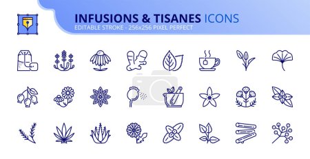 Illustration for Line icons about infusions and tisanes. Contains such icons as echinacea, lavender, ginger, chamomile and dandelion. Editable stroke Vector 256x256 pixel perfect - Royalty Free Image