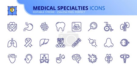 Illustration for Line icons about medical specialties. Contains such icons as health care, virology, gynecology, cardiologist and human organs. Editable stroke Vector 256x256 pixel perfect - Royalty Free Image