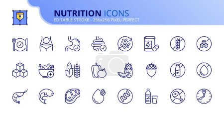 Line icons about nutrition. Contains such icons as healthy food, fat, protein, vegetables, fruit, carbohydrates, and sugar. Editable stroke Vector 256x256 pixel perfect