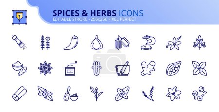 Téléchargez les illustrations : Ligne icônes sur les épices et les herbes. Contient des icônes telles que le curcuma, le céleri, le romarin, le safran et le poivre. Course modifiable vecteur 256x256 pixel parfait - en licence libre de droit