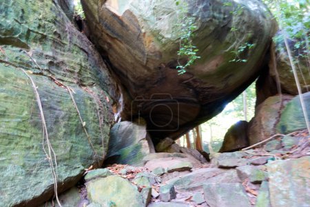 Photo for Landscape of trees and large rocks on the mountain. - Royalty Free Image