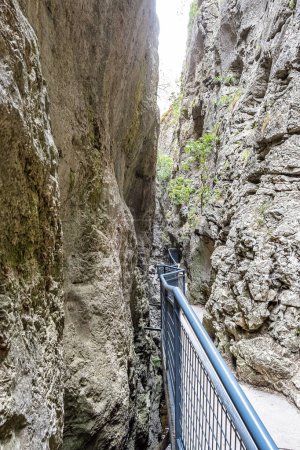 Foto de La Yecla Gorge, Burgos Province, Spain. It is a deep and narrow gorge modeled in limestone materials - Imagen libre de derechos