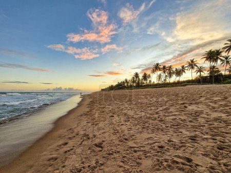 Photo for View of Imbassai beach, Bahia, Brazil. Beautiful beach in the northeast with a river and palm trees. - Royalty Free Image