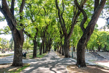 Téléchargez les photos : Parque Lezama, Lezama Park, dans le quartier de San Telmo à Buenos Aires, Argentine. C'est l'un des parcs les plus importants de Buenos Aires - en image libre de droit
