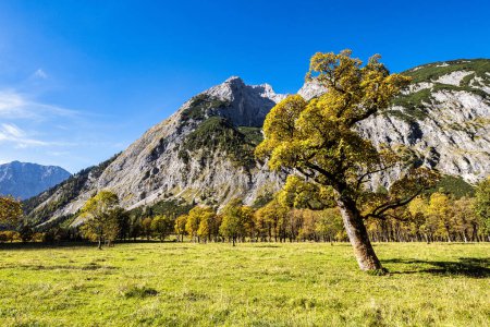 Téléchargez les photos : Vue d'automne des érables à Ahornboden, montagnes Karwendel, Tyrol, Autriche - en image libre de droit