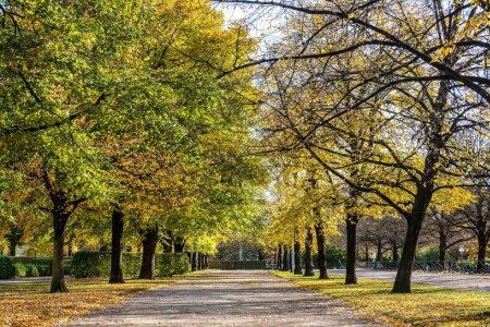 Spaziergang im Hofgarten in München an einem Herbsttag, Deutschland in Europa
