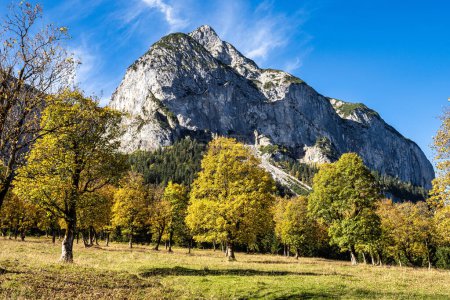 Vue d'automne des érables à Ahornboden, montagnes Karwendel, Tyrol, Autriche