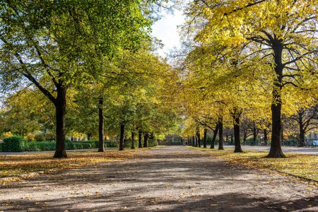 Walking in Hofgarten Park in Munich on an autumn day, Germany in Europe
