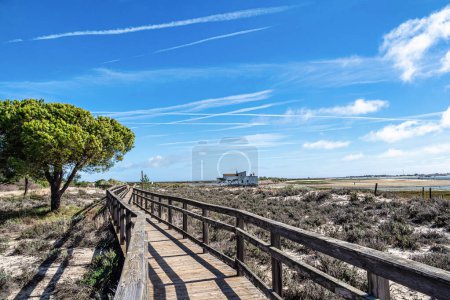 Tide mill building in Ria Formosa Natural Park, Olhao, Algarve in Portugal