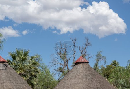 Photo for Thatched roofs of African Rondavel huts in Oudtshoorn South Africa - Royalty Free Image