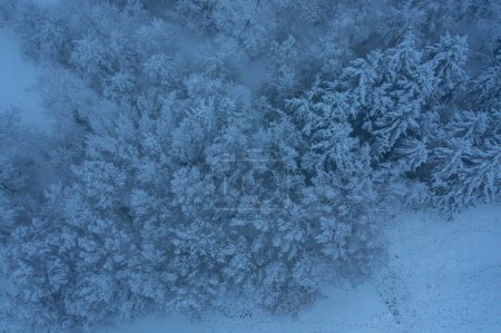Téléchargez les photos : Vue aérienne d'un drone, paysage enneigé ou paysage hivernal d'une terre agricole en Allemagne - en image libre de droit