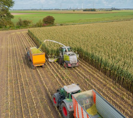 Téléchargez les photos : Tractor and corn chopper during corn harvest - en image libre de droit
