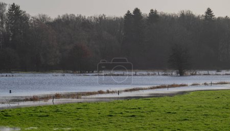 llanura de inundación cerca de Pinneberg Meadows están bajo el agua de la lluvia constante