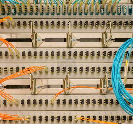 Foto de Cable de red de fibra óptica conectado a un interruptor - Imagen libre de derechos