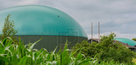 Centrale à biogaz pour la production d'électricité et d'énergie