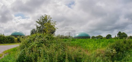 Centrale à biogaz pour la production d'électricité et d'énergie