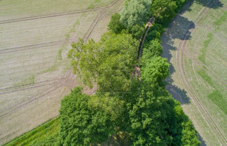 Drone aerial view of various agricultural fields in Schleswig Holstein Germany