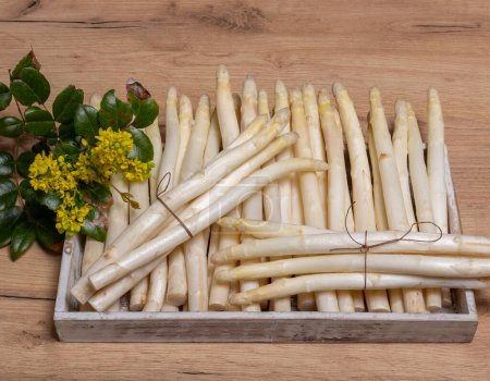 White asparagus on a wooden plate