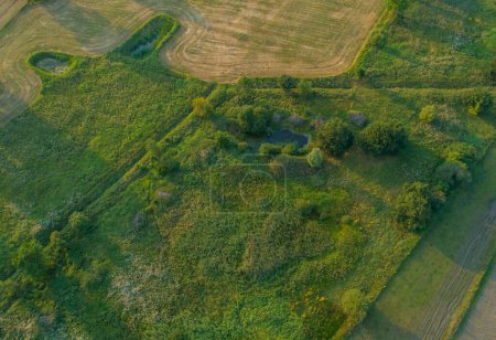 Drohnen-Luftaufnahme verschiedener landwirtschaftlicher Felder in Schleswig-Holstein