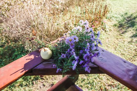Téléchargez les photos : Fleurs ornementales dans le jardin d'automne. Usines d'aster violet. - en image libre de droit