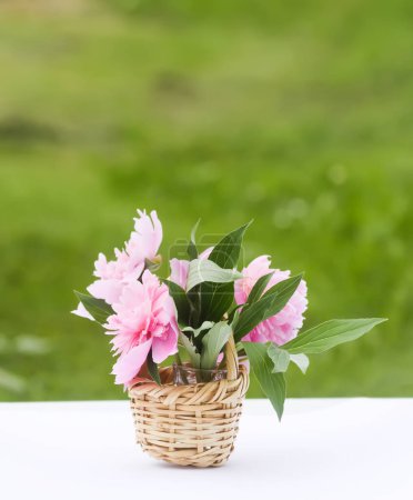Téléchargez les photos : De belles fleurs parfumées. Pivoines roses dans un petit panier. Décor floral. - en image libre de droit