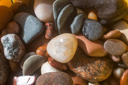 Fond de roches de mer. Différentes formes de pierres lisses colorées.