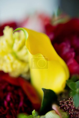 Téléchargez les photos : Grande boîte cadeau rose avec des fleurs vives. Fleurs rouges et jaunes, bouquet pour la fête des mères, Saint Valentin, fête d'anniversaire ou autres jours fériés. Bouquet de roses, lys calla, amaryllis et pivoines. - en image libre de droit