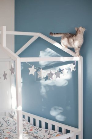 Téléchargez les photos : Grey british cat walking on the white childs house shaped bed - en image libre de droit
