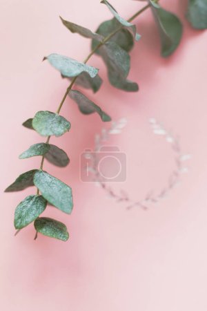Pink cover book with copy space on a marble background and eucalyptus twig. Woman holding pink book album