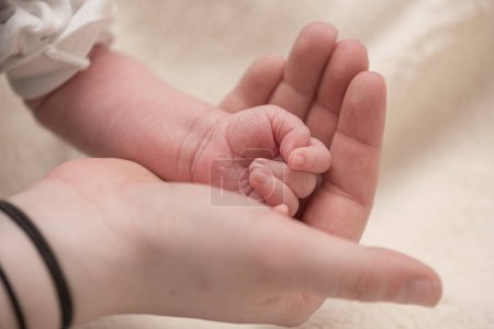 Foto de Familiar hands. Small baby hand in big hand of parent. - Imagen libre de derechos