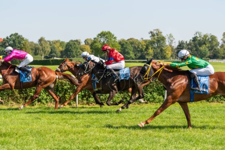 Téléchargez les photos : Wroclaw, Pologne - 10 sept. 2023 - Compétition de jeunes chevaux sur piste de course européenne - en image libre de droit