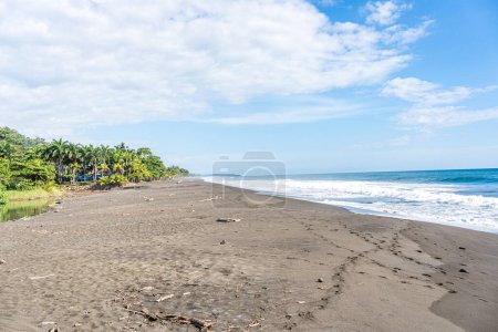 Téléchargez les photos : Photo panoramique d'une plage tropicale avec des palmiers par une journée venteuse - en image libre de droit