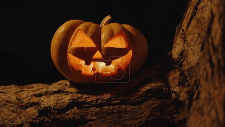 Téléchargez les photos : Citrouille d'Halloween et bougies à l'intérieur, sur les racines d'un grand arbre dans la forêt, la nuit - en image libre de droit