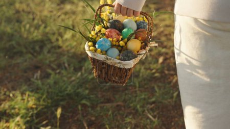 Téléchargez les photos : Une promenade derrière une femme en blanc portant un panier d'œufs de Pâques peints. Forêt ensoleillée à l'aube. - en image libre de droit