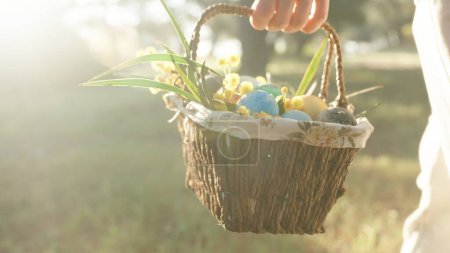 Téléchargez les photos : Une femme en blanc se promène avec un panier d'œufs de Pâques dans la forêt, marchant vers les rayons du soleil. Éclairage cinématographique dans un cadre boisé. - en image libre de droit
