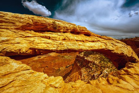 Téléchargez les photos : Famous Mesa Arch in Canyonlands National Park, Utah, États-Unis - en image libre de droit