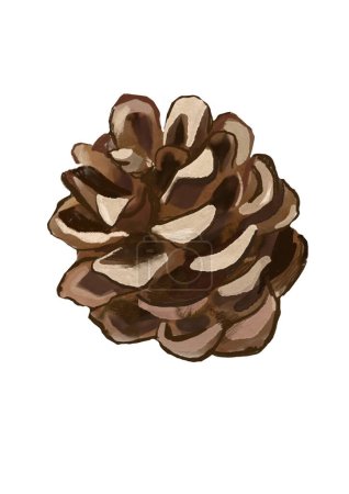 Photo for Pine cone isolated on white background - Royalty Free Image