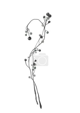 Téléchargez les photos : Aquarelle d'hiver de Noël illustration dessinée à la main d'une branche d'une plante aux baies - en image libre de droit