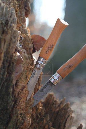 LVIV, UKRAINE - February 27, 2024: Opinel knife in the forest on a wooden background.