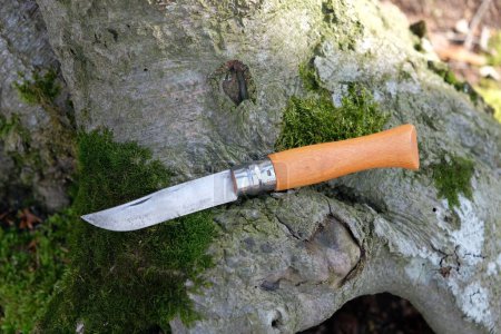 Classic knife with a wooden handle in the forest on a wooden background.