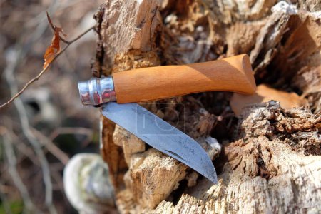 Classic knife with a wooden handle in the forest on a wooden background.