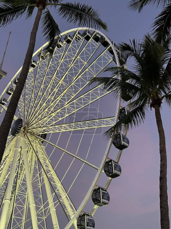 Grande roue dans le parc de Miami au coucher du soleil. Photo de haute qualité