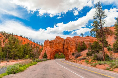Foto de Arco de piedra natural en Red Canyon, Dixie National Forest, Utah, Estados Unidos. Arco del Cañón Rojo ubicado en la autopista en Utah - Imagen libre de derechos